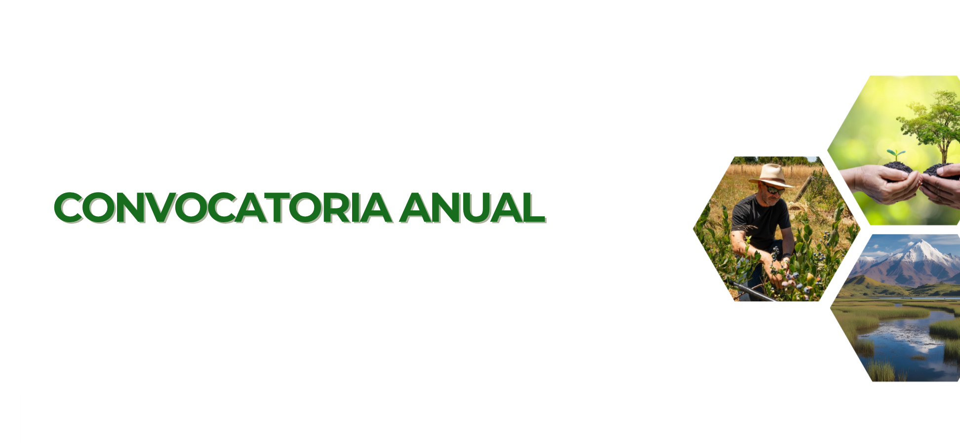 Convocatoria Anual