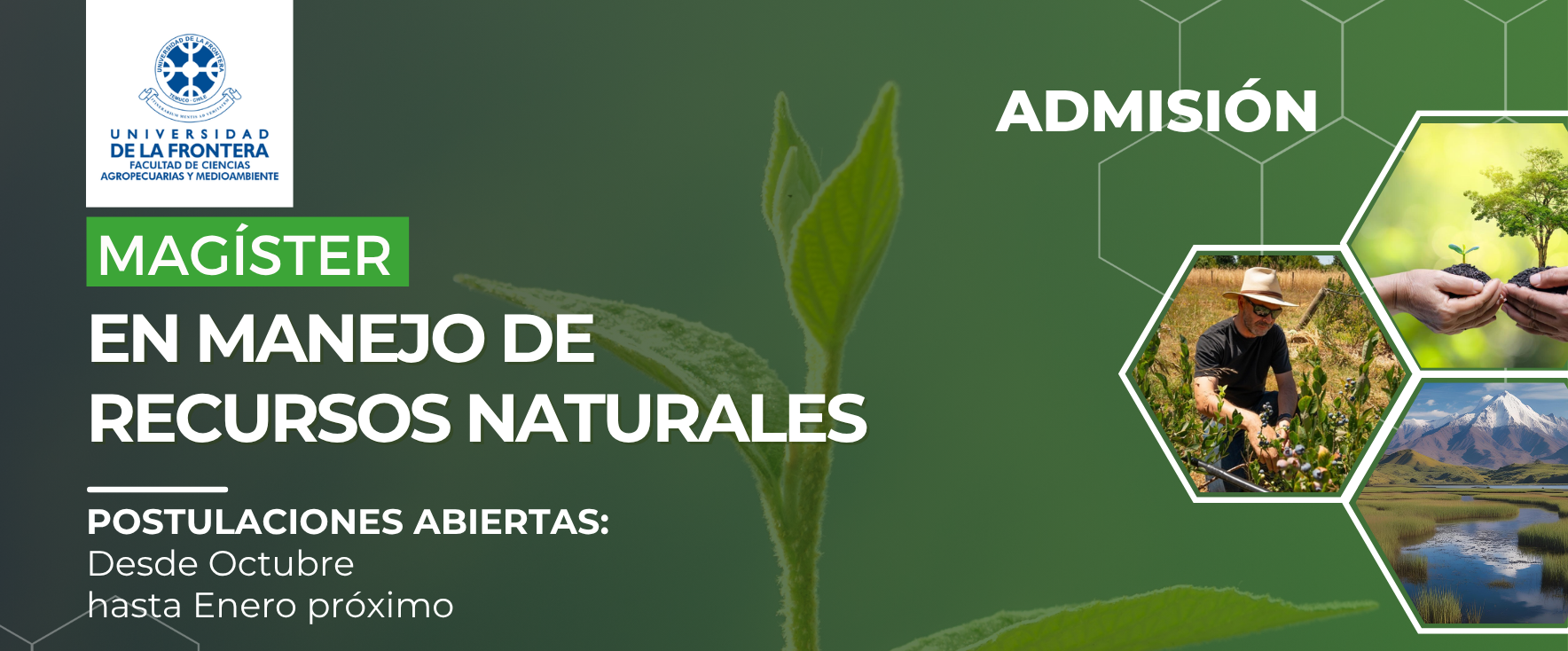 admision-2024